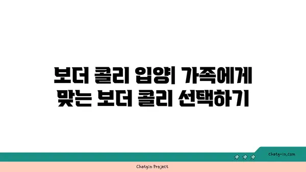 보더 콜리 완벽 가이드| 성격, 훈련, 건강, 그리고 당신에게 맞는지 알아보세요 | 견종, 강아지, 반려견, 훈련 팁