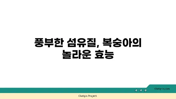 복숭아의 풍부한 섬유질| 장 건강과 포만감을 위한 달콤한 선택 | 복숭아, 섬유질, 장 건강, 포만감, 건강 식단