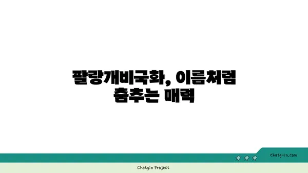 팔랑개비국화의 매력에 빠지다| 종류별 특징과 관리법 | 팔랑개비국화, 꽃말, 키우기, 종류