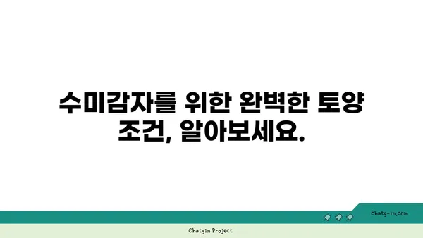 수미감자 최고의 맛을 위한 토양 레시피| 완벽한 토양 조건 완벽 가이드 | 수미감자 재배, 토양 관리, 감자 농사