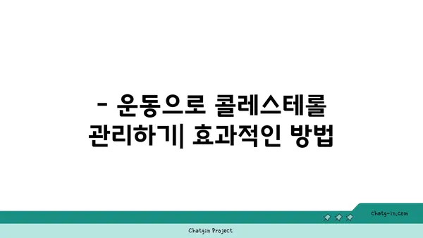 콜레스테롤 낮추는 3가지 실용적인 팁 | 건강, 식단, 운동, 생활 습관