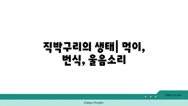 직박구리 관찰 가이드| 생태, 서식지, 그리고 특징 | 조류 관찰, 야생 동물, 한국 조류