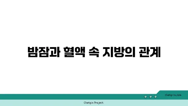 숙면은 건강 지름길? 😴  수면과 중성지방, 잠과 건강 사이의 연결 | 수면, 중성지방, 건강, 혈액,  지방,  체중 감량