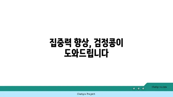 검정콩의 뇌 강화 효과| 과학적 근거로 밝혀진 인지 기능 향상 | 검정콩, 뇌 건강, 기억력, 집중력, 학습 능력