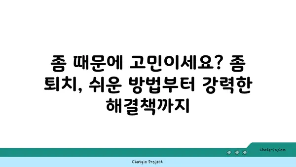 집안 좀을 박멸하는 완벽 가이드 | 좀 퇴치, 좀 잡는 법, 집안 좀 제거, 좀 예방