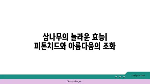 삼나무의 매력, 5가지 장점과 활용법 | 삼나무 효능, 나무, 특징, 종류, 가구, 건축, 향균