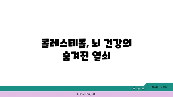 균형 잡힌 콜레스테롤| 건강한 뇌 기능을 위한 필수 요소 | 뇌 건강, 콜레스테롤 관리, 인지 기능