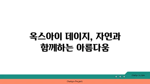 옥스아이 데이지의 지속 가능한 매력| 재활용과 친환경 활용법 | 옥스아이 데이지, 재활용, 지속 가능성, 친환경