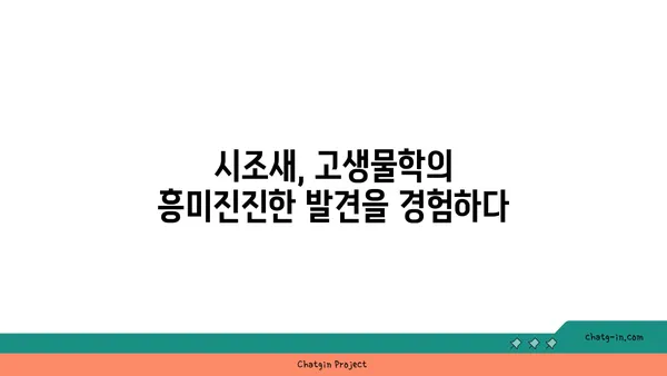 시조새의 비밀| 진화의 증거를 찾아 떠나는 여정 | 고생물학, 진화론, 공룡, 조류, 화석