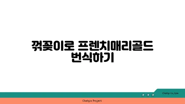 프렌치매리골드 키우기 완벽 가이드 | 씨앗 파종부터 꽃 피우기까지 | 프렌치매리골드, 재배, 관리, 번식, 병충해