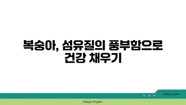 복숭아의 풍부한 섬유질| 장 건강과 포만감을 위한 달콤한 선택 | 복숭아, 섬유질, 장 건강, 포만감, 건강 식단