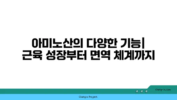 아미노산의 모든 것| 종류, 기능, 그리고 건강에 미치는 영향 | 단백질, 영양소, 건강 팁