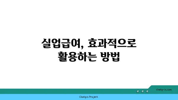 실업급여 기간 중 취업 지원 서비스 활용 가이드 | 취업 성공 전략, 정부 지원, 효과적인 활용법