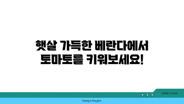 집에서 토마토를 재배하는 완벽 가이드| 신선하고 유기적인 수확을 위한 10가지 단계 | 토마토 재배, 유기농, 베란다텃밭, 텃밭 가꾸기