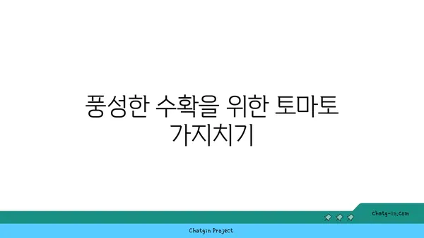 가정에서 토마토 풍년을 위한 꿀팁| 성공적인 재배 가이드 | 토마토, 재배, 팁, 가정 재배