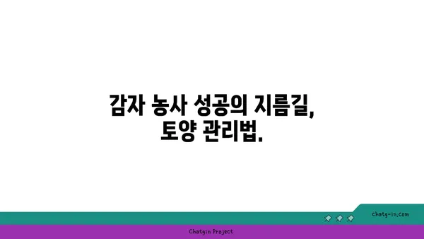 수미감자 최고의 맛을 위한 토양 레시피| 완벽한 토양 조건 완벽 가이드 | 수미감자 재배, 토양 관리, 감자 농사