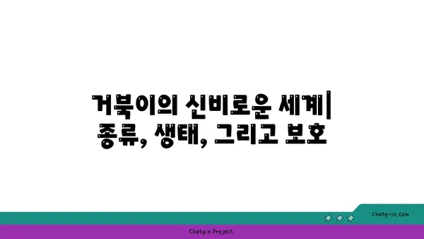 거북이의 신비로운 세계| 종류, 생태, 그리고 보호 | 거북, 파충류, 생물 다양성, 멸종 위기