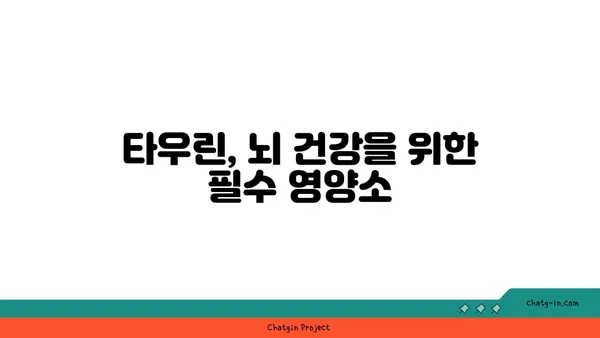 타우린의 힘| 뇌 건강을 위한 놀라운 효능 | 타우린, 뇌 기능 개선, 인지 능력 향상, 기억력 증진