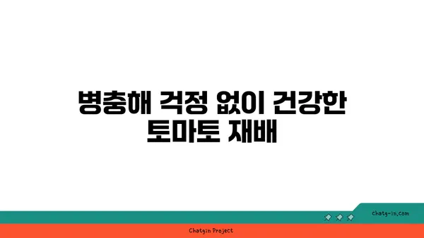 가정에서 토마토 풍년을 위한 꿀팁| 성공적인 재배 가이드 | 토마토, 재배, 팁, 가정 재배