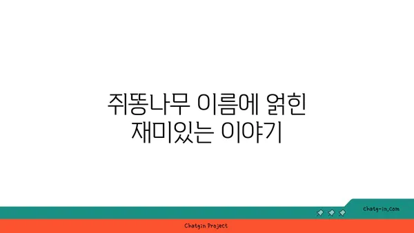 쥐똥나무의 매력, 그 숨겨진 가치를 알아보세요 | 쥐똥나무, 식물, 정원, 조경, 효능