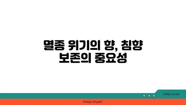 침향 산업의 윤리적 과제| 지속 가능한 미래를 위한 솔루션 | 침향, 지속 가능성, 공정 거래, 보존, 윤리