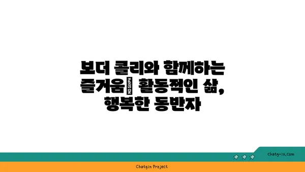 보더 콜리 완벽 가이드| 성격, 훈련, 건강, 그리고 당신에게 맞는지 알아보세요 | 견종, 강아지, 반려견, 훈련 팁