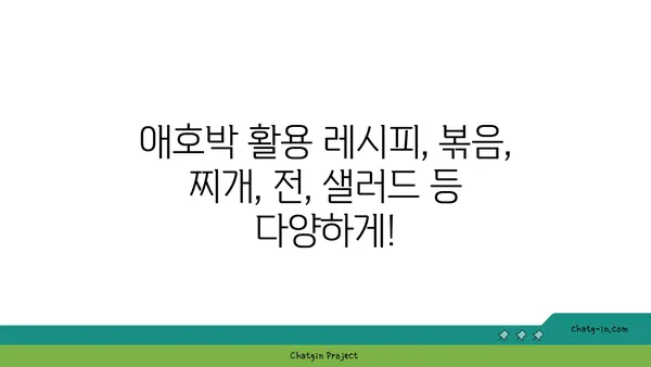 애호박 요리 레시피 모음 | 볶음, 찌개, 전, 샐러드, 다양한 레시피