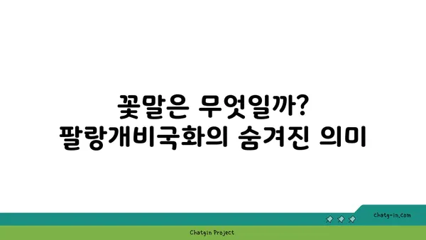 팔랑개비국화의 매력에 빠지다| 종류별 특징과 관리법 | 팔랑개비국화, 꽃말, 키우기, 종류