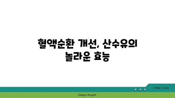 산수유 효능과 부작용 완벽 정리 | 건강, 봄철 건강, 면역력 강화, 혈액순환