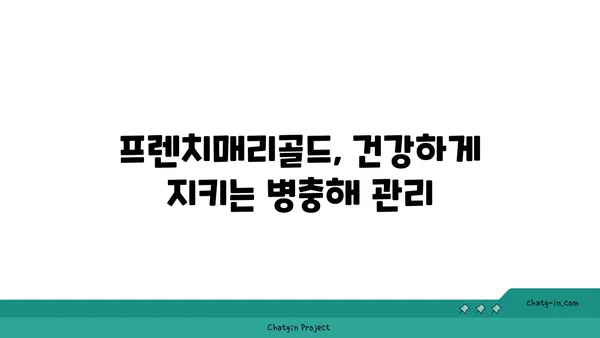 프렌치매리골드 키우기 완벽 가이드 | 씨앗 파종부터 꽃 피우기까지 | 프렌치매리골드, 재배, 관리, 번식, 병충해