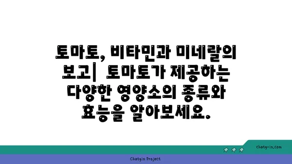 토마토의 놀라운 영양학| 건강한 하루를 위한 필수 영양소 | 건강, 식단, 비타민, 미네랄, 항산화