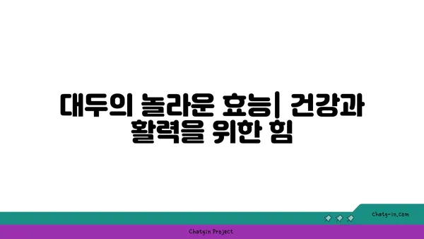 대두의 놀라운 효능과 영양 정보| 건강한 식단을 위한 완벽 가이드 | 대두, 콩, 단백질, 영양, 건강, 레시피