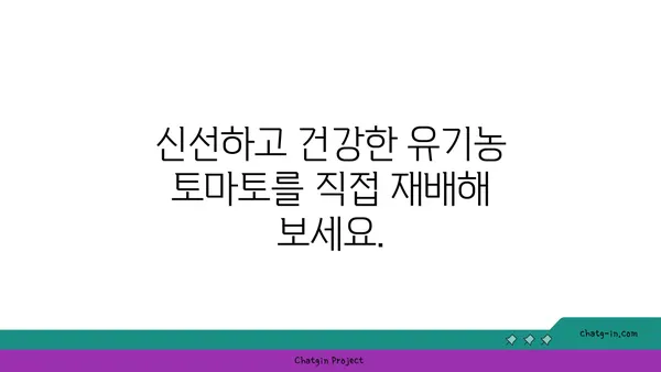 집에서 토마토를 재배하는 완벽 가이드| 신선하고 유기적인 수확을 위한 10가지 단계 | 토마토 재배, 유기농, 베란다텃밭, 텃밭 가꾸기