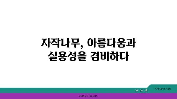 자작나무의 매력, 탐구하기 | 나무, 식물, 특징, 효능, 재배