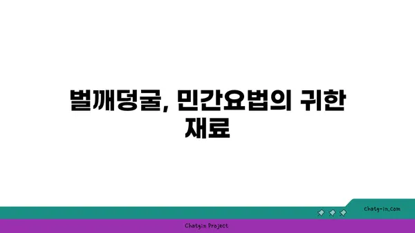 벌깨덩굴 효능과 활용법 | 약초, 민간요법, 벌깨덩굴 차, 벌깨덩굴 효능