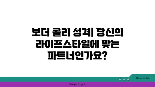 보더 콜리 완벽 가이드| 성격, 훈련, 건강, 그리고 당신에게 맞는지 알아보세요 | 견종, 강아지, 반려견, 훈련 팁