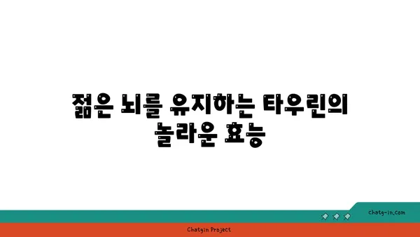 타우린의 힘| 뇌 건강을 위한 놀라운 효능 | 타우린, 뇌 기능 개선, 인지 능력 향상, 기억력 증진