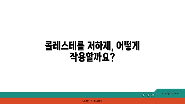 콜레스테롤 저하제 완벽 가이드| 종류, 작용 원리 & 부작용 | 건강, 고지혈증, 심혈관 질환