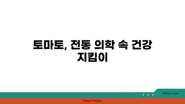 토마토의 약리학적 특성| 전통 의학부터 현대적 활용까지 | 건강, 영양, 항산화, 면역