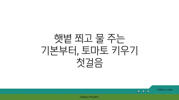 토마토 맛있게 키우는 비법| 텃밭부터 베란다까지 완벽 가이드 | 토마토 재배, 토마토 농사, 토마토 키우기, 토마토 관리