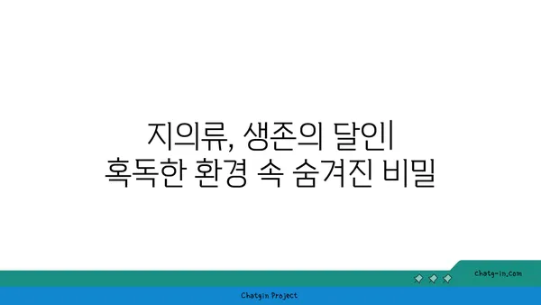 지의류의 신비로운 세계| 생존 전략, 종류, 그리고 환경과의 관계 | 지의류, 공생, 생물학, 환경