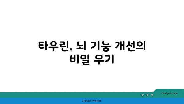 타우린의 힘| 뇌 건강을 위한 놀라운 효능 | 타우린, 뇌 기능 개선, 인지 능력 향상, 기억력 증진