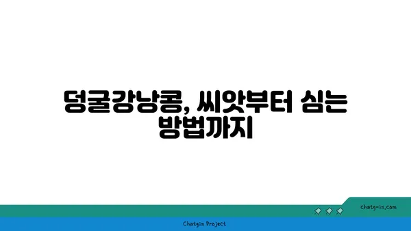 덩굴강낭콩 재배 가이드| 씨앗부터 수확까지 완벽하게 알아보기 | 덩굴강낭콩, 재배, 텃밭, 채소, 농사