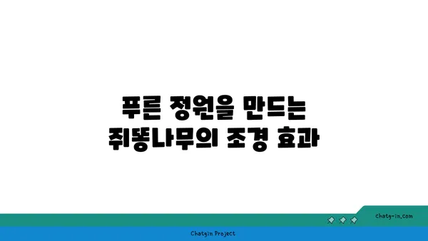 쥐똥나무의 매력, 그 숨겨진 가치를 알아보세요 | 쥐똥나무, 식물, 정원, 조경, 효능