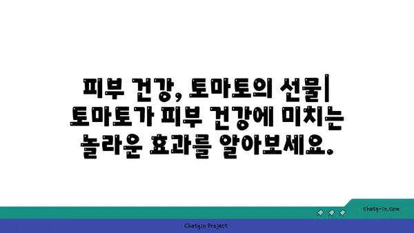 토마토의 놀라운 영양학| 건강한 하루를 위한 필수 영양소 | 건강, 식단, 비타민, 미네랄, 항산화