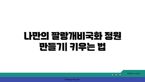 팔랑개비국화의 매력에 빠지다| 종류별 특징과 관리법 | 팔랑개비국화, 꽃말, 키우기, 종류