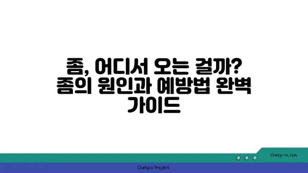 집안 좀을 박멸하는 완벽 가이드 | 좀 퇴치, 좀 잡는 법, 집안 좀 제거, 좀 예방