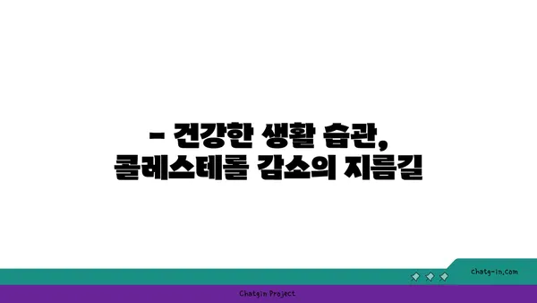 콜레스테롤 낮추는 3가지 실용적인 팁 | 건강, 식단, 운동, 생활 습관