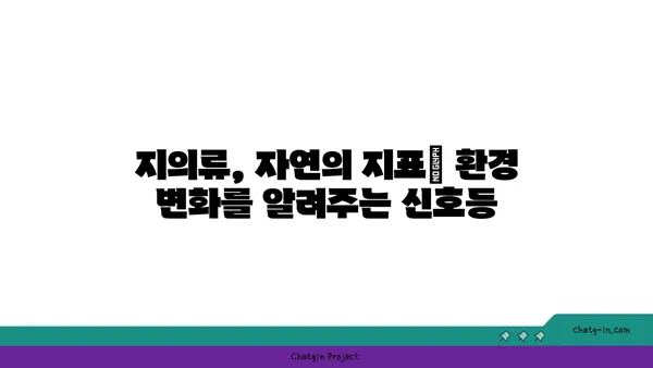 지의류의 신비로운 세계| 생존 전략, 종류, 그리고 환경과의 관계 | 지의류, 공생, 생물학, 환경