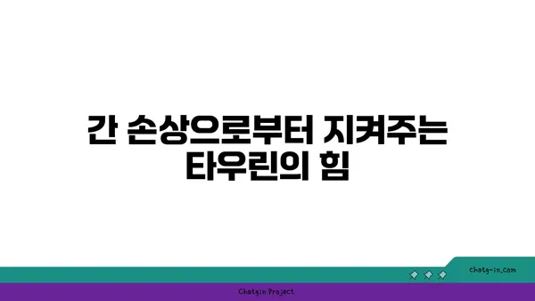 타우린, 간 건강 지킴이? 간 손상 예방 효과 알아보기 | 타우린, 간 기능, 건강 정보